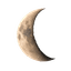 Arche Musing moon logo